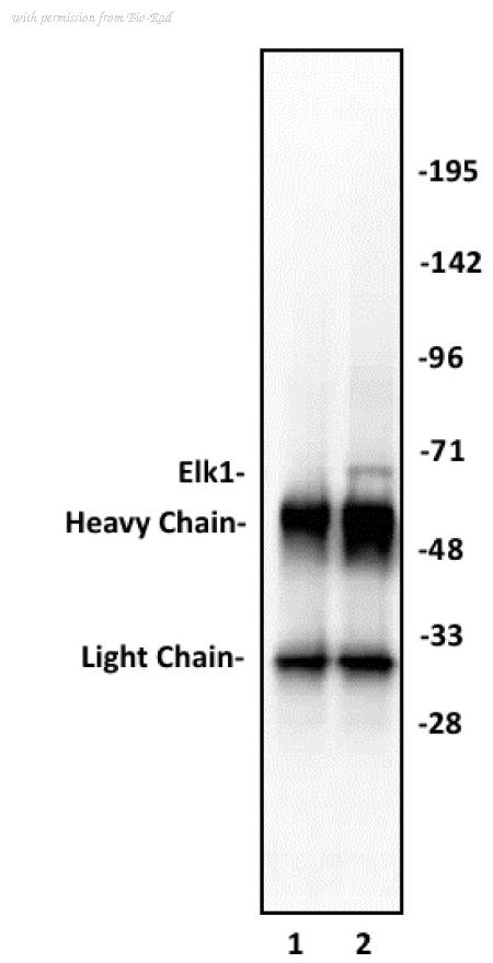 Bio-Rad AHP3038 image 1