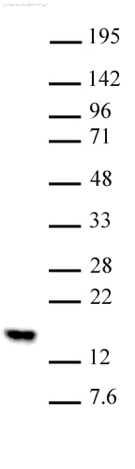 Bio-Rad AHP3048 image 1