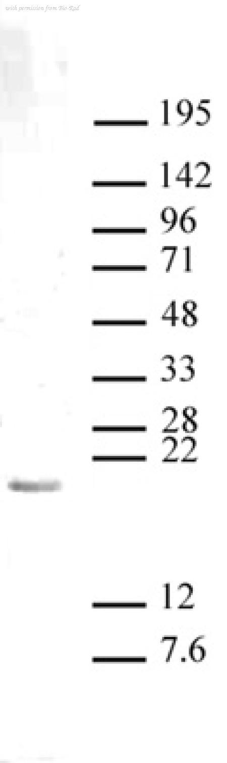 Bio-Rad AHP3052 image 1