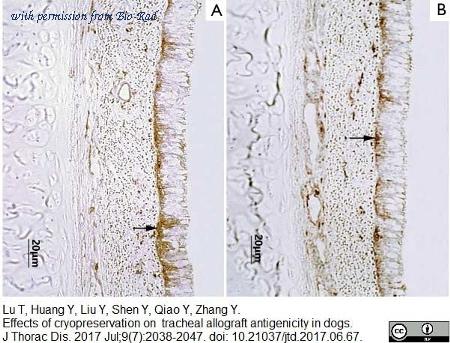Bio-Rad MCA1044A647 image 1