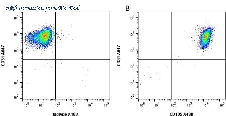 Bio-Rad MCA1557SBUV400 image 1