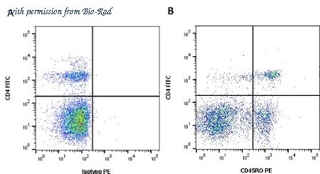 Bio-Rad MCA2434A488 image 1
