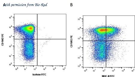 Bio-Rad MCA2445A647 image 1
