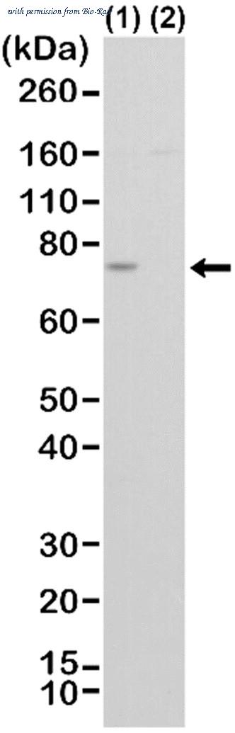 Bio-Rad MCA6350 image 1