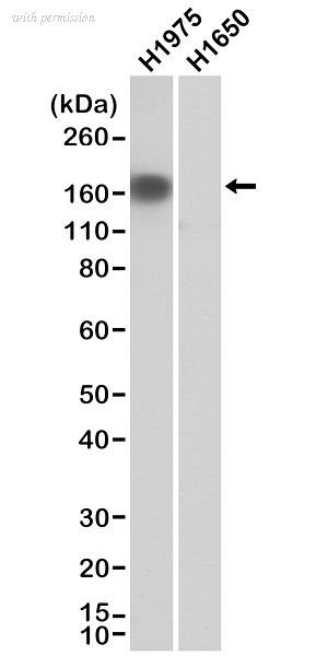 Bio-Rad MCA6370 image 1