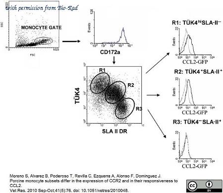 Bio-Rad MCA2312A647 image 1