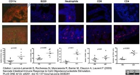 Bio-Rad MCA1258SBR775 image 1