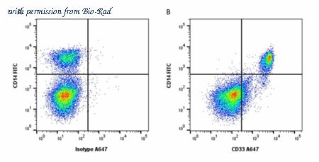 Bio-Rad MCA6167A647 image 1