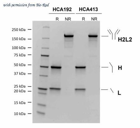 Bio-Rad HCA413 image 1