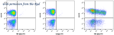 Bio-Rad MCA6435GA image 1