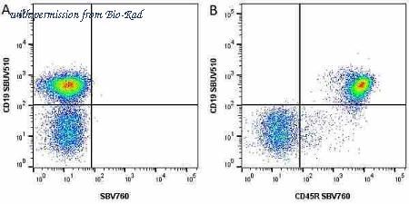 Bio-Rad MCA1439SBUV540 image 1
