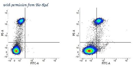 Bio-Rad MCA1853SBUV700 image 1