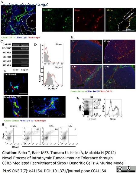 Bio-Rad MCA2518SBUV540 image 1