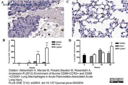 Bio-Rad MCA497SBUV540 image 1