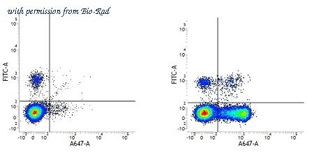 Bio-Rad MCA755SBUV540 image 1