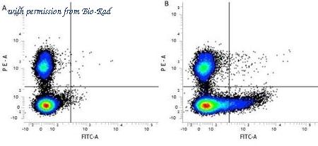 Bio-Rad MCA884SBUV700 image 1