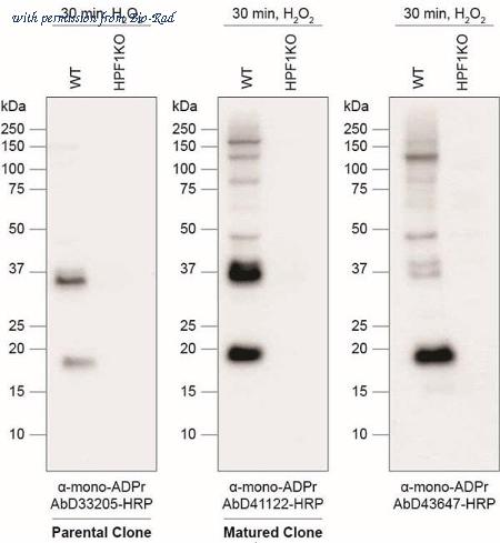 Bio-Rad TZA0118 image 1