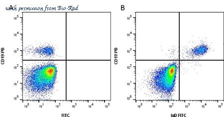 Bio-Rad STAR143 image 1