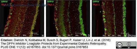 Bio-Rad MCA04GT image 1
