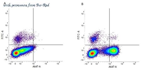 Bio-Rad MCA1556A700T image 1