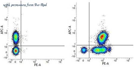 Bio-Rad MCA2113FT image 1