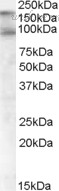 Bio-Rad AHP1567 image 1