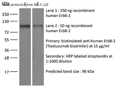 Bio X Cell SIM0005-5MG image 1