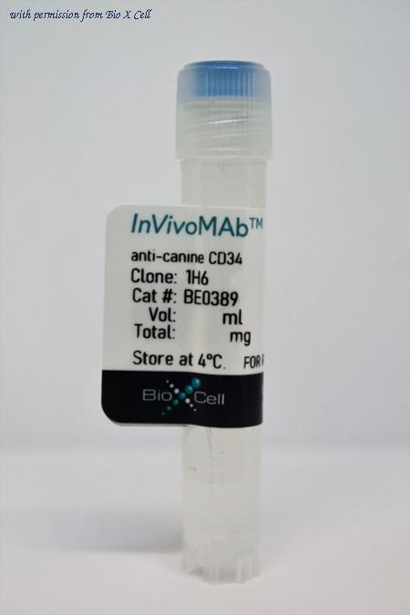 Bio X Cell BE0389-1MG image 1
