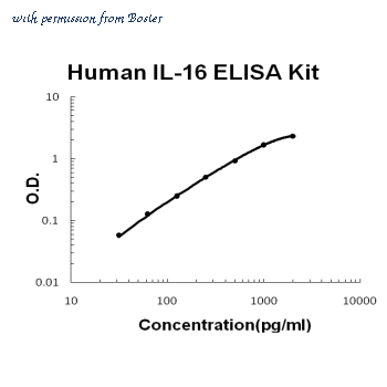 Boster EK0428 image 1