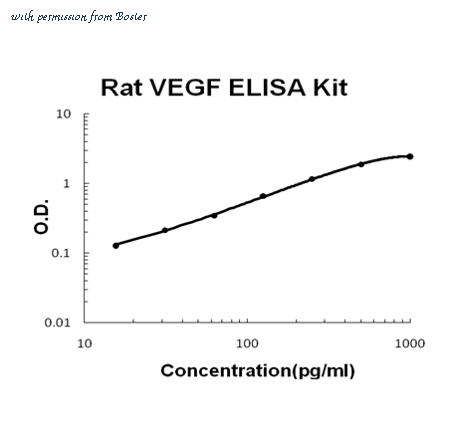 Boster EK0540 image 1