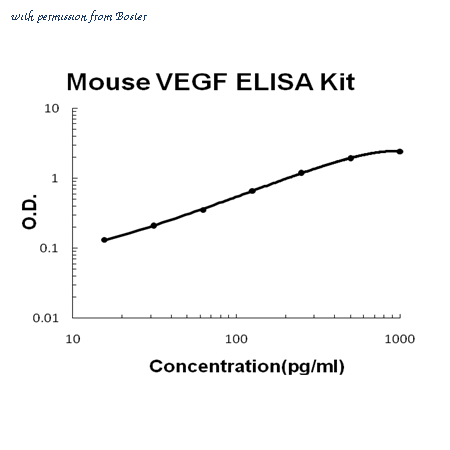 Boster EK0541 image 1