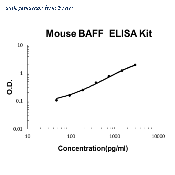 Boster EK0664 image 1