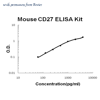 Boster EK0699 image 1