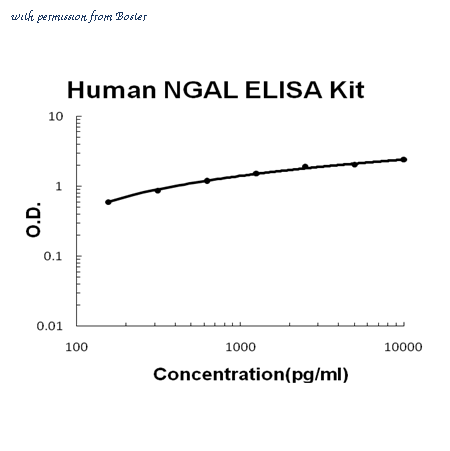 Boster EK0853 image 1
