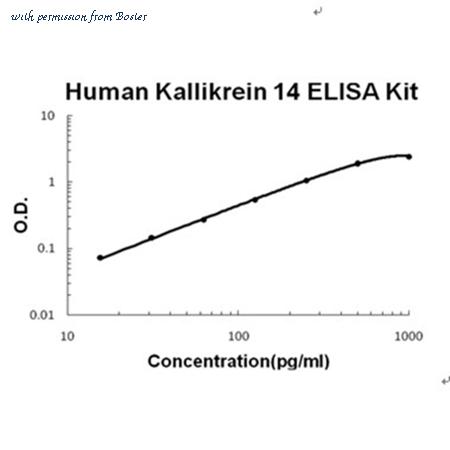Boster EK0949 image 1