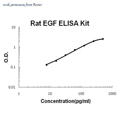 Boster EK0954 image 1