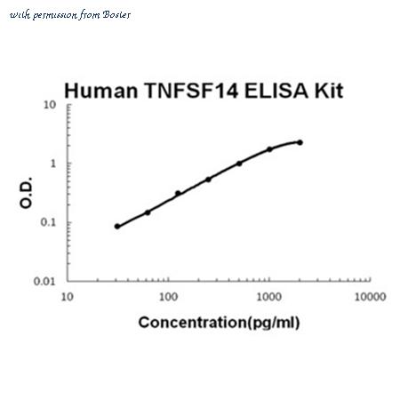 Boster EK0990 image 1