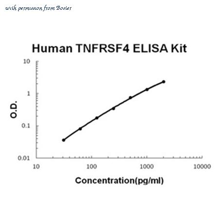 Boster EK1106 image 1