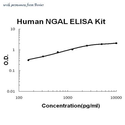 Boster EZ0853 image 1