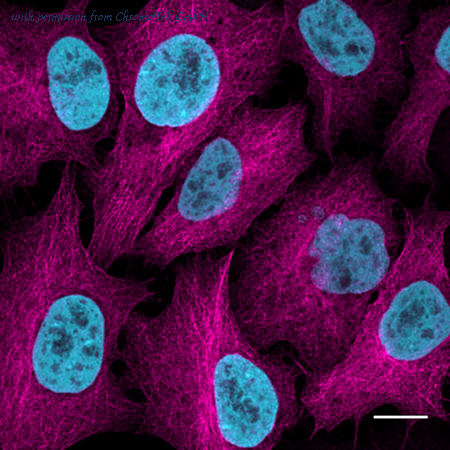 ChromoTek GmbH srbAF647-1-10 image 1
