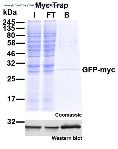 ChromoTek GmbH yta-20 image 1