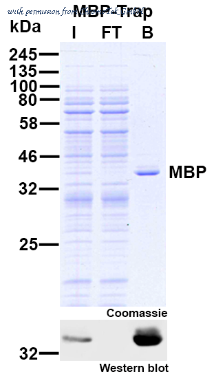 ChromoTek GmbH mbta-20 image 1