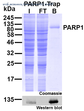 ChromoTek GmbH xta-20 image 1