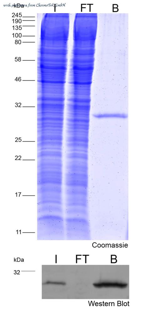 ChromoTek GmbH nta-20 image 1