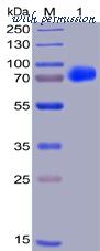 DIMA Biotechnology PME100002 image 1