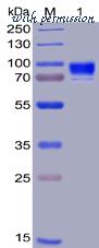 DIMA Biotechnology PME100003 image 1