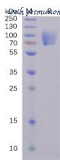 DIMA Biotechnology PME100492 image 1