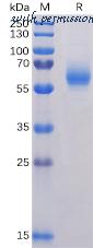 DIMA Biotechnology PME100504 image 1