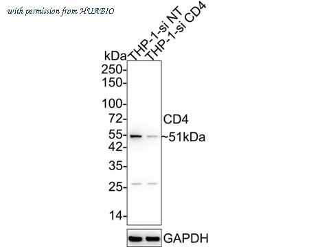 HUABIO 0108-6 image 1