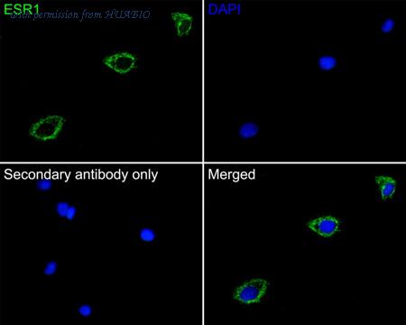 HUABIO 0803-1 image 3